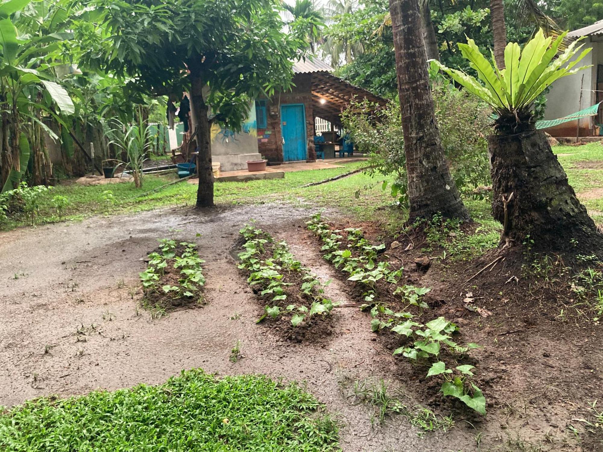 Chill House Hostel Anuradhapura Exterior foto